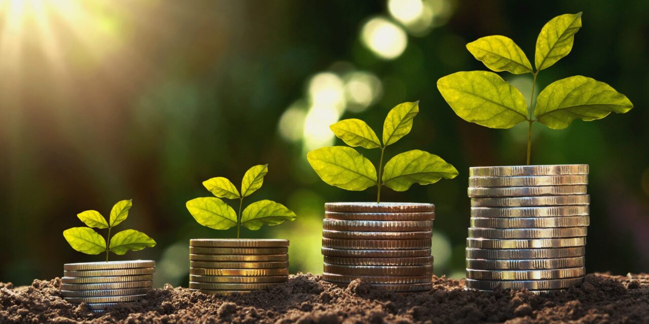 https://doradcy365.pl/wp-content/uploads/2020/10/concept-finance-accounting-growing-young-plant-coins-with-sunrise-min-scaled-1280x640.jpg