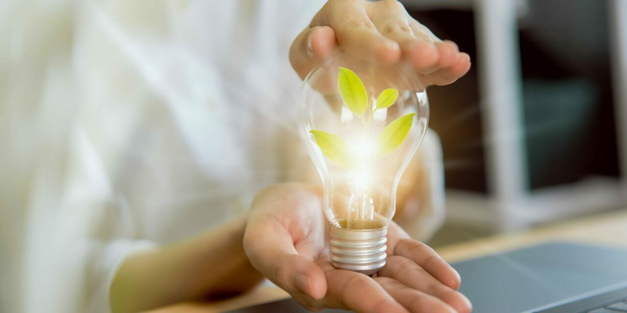 https://doradcy365.pl/wp-content/uploads/2020/10/hand-holding-light-bulb-with-saving-energy-innovation-creativity-are-keys-success-min-scaled-e1603038549872-1280x640.jpg