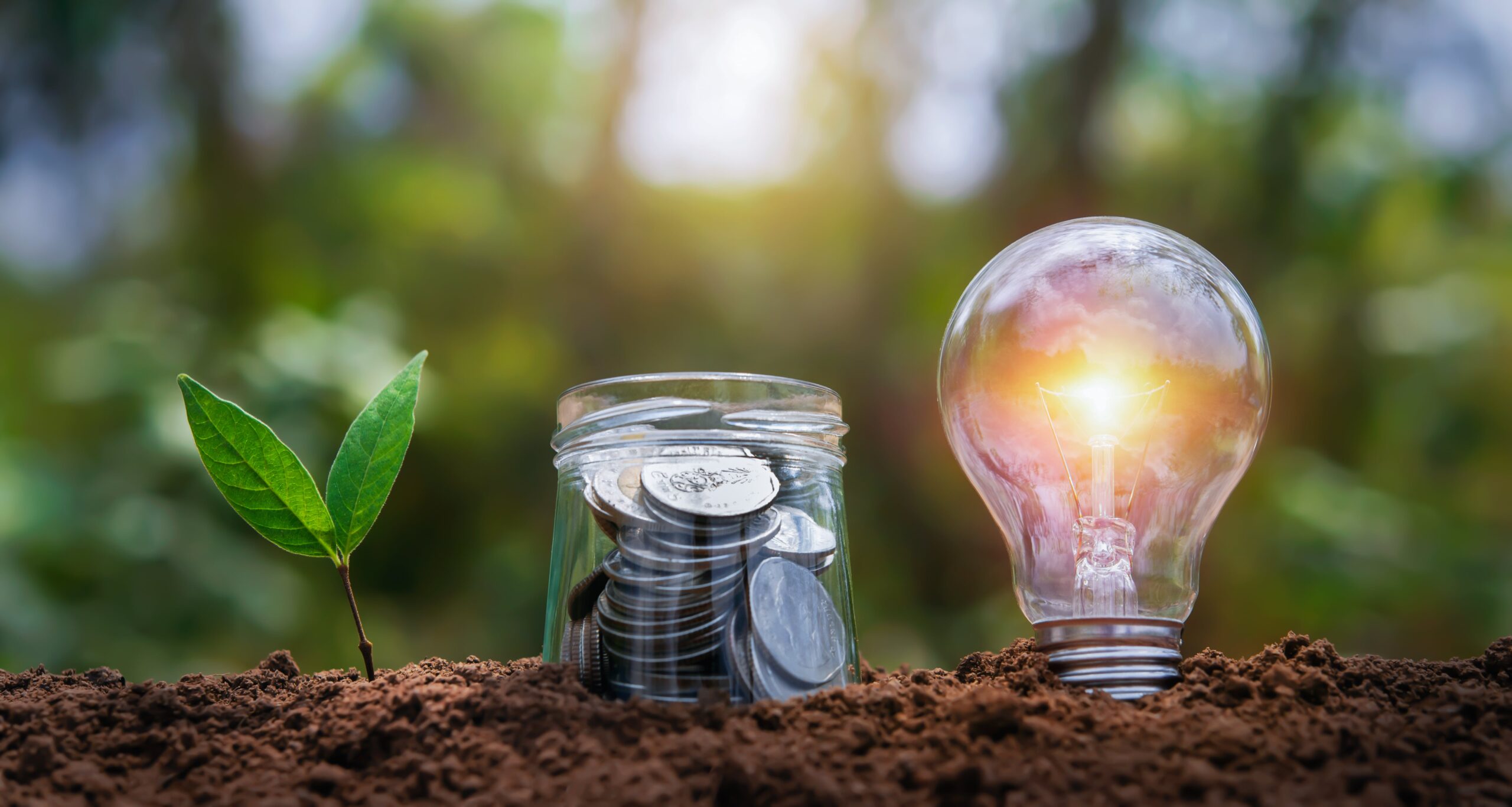 https://doradcy365.pl/wp-content/uploads/2021/10/lightbulb-with-plant-growing-money-jug-glass-soil-nature-saving-energy-power-finance-accounting-concept-min-scaled.jpg