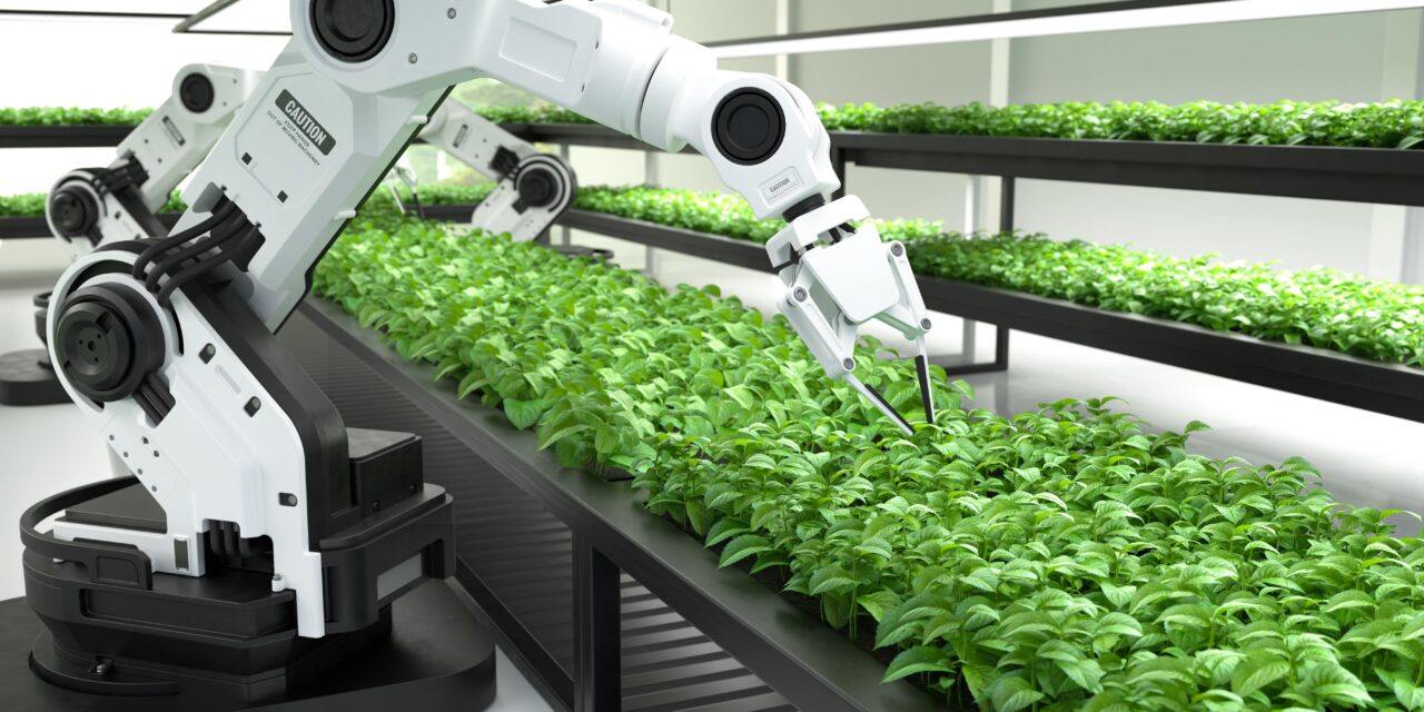 https://doradcy365.pl/wp-content/uploads/2022/04/smart-robotic-farmers-concept-min-1280x640.jpg