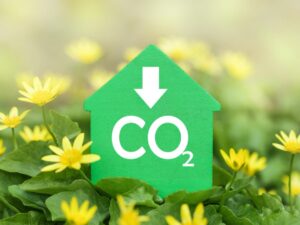 https://doradcy365.pl/wp-content/uploads/2022/07/decarbonization-real-estate-lower-co2-emissions-reduce-carbon-green-house-flower-min-300x225.jpg