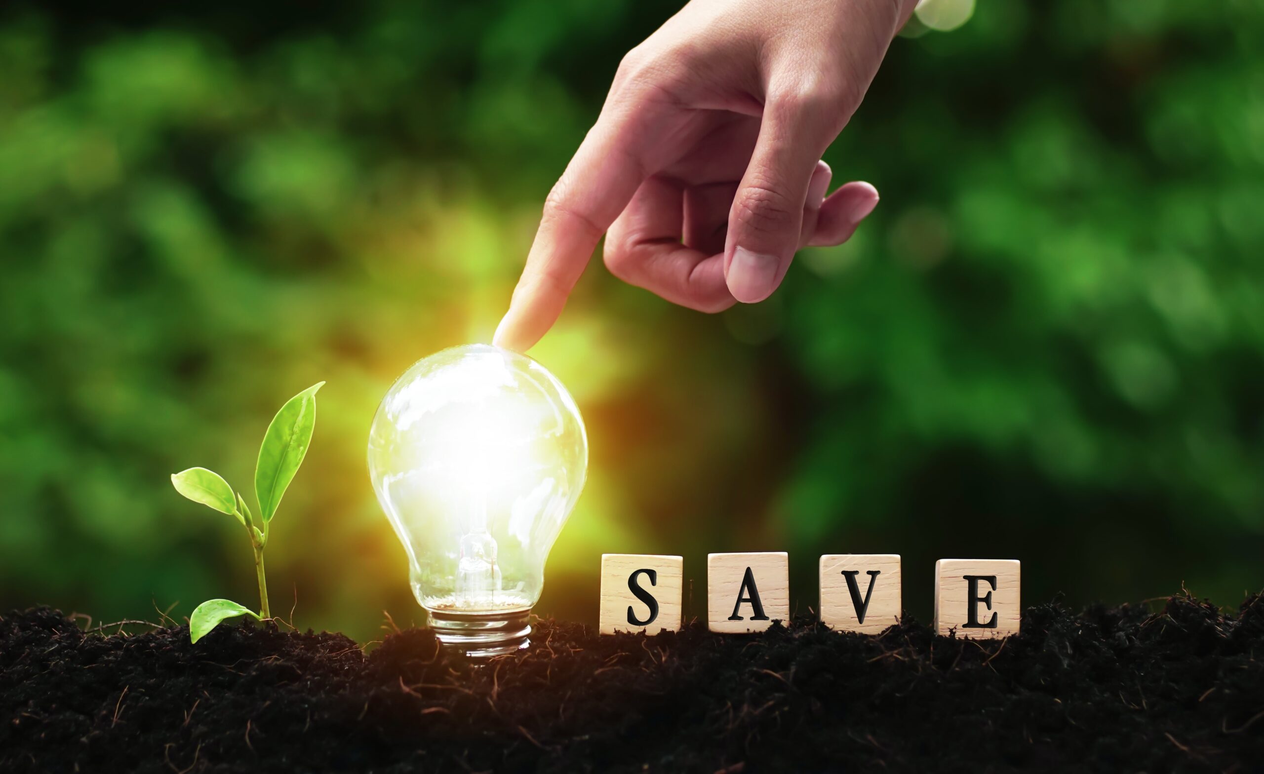 https://doradcy365.pl/wp-content/uploads/2022/09/hand-holding-light-bulb-with-small-plant-soil-with-save-message-block-sunlight-min-scaled.jpg