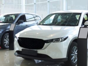 https://doradcy365.pl/wp-content/uploads/2025/09/car2-300x225.jpg